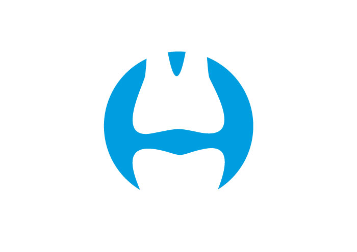 Logo MV