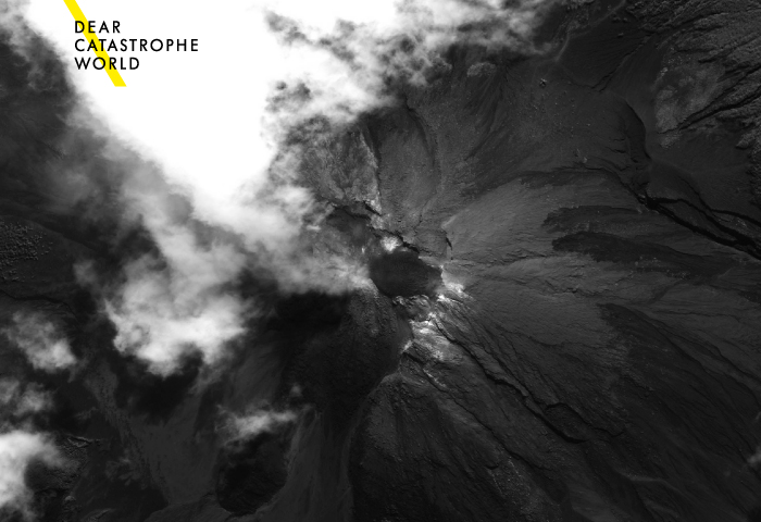 dear catastrophe world